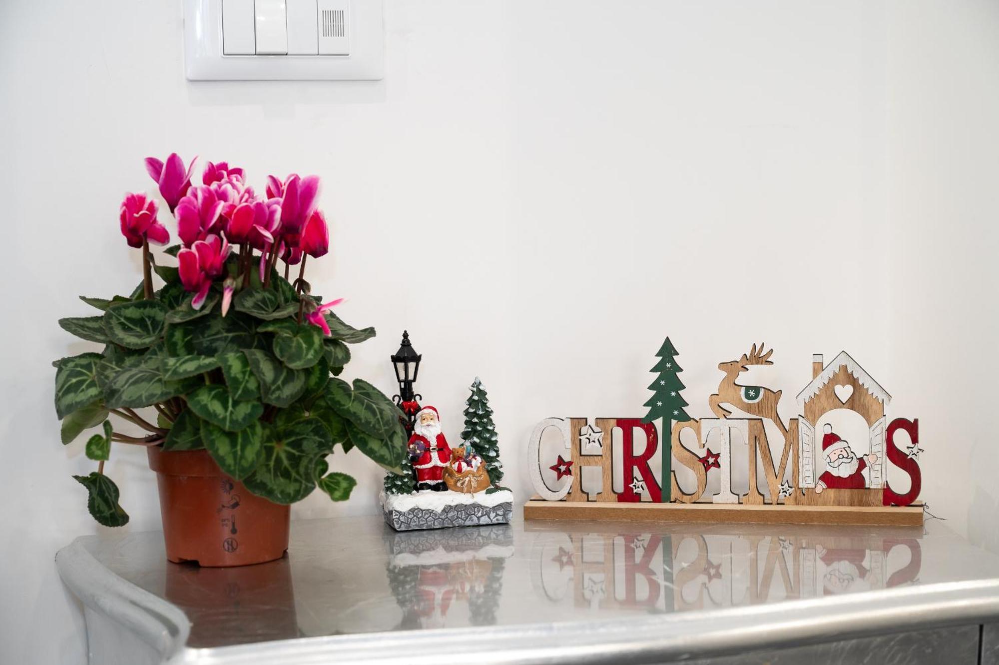 Apartamento St. Peter Boutique Roma